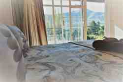 Garden/View Room 2