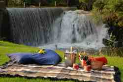 Picnic in the gardens