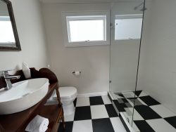 Room Fig Tree