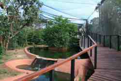 Walkthru Bird Park