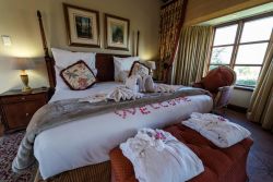 Lakeside Suite