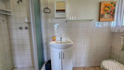 Shower/toilet