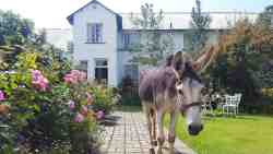 Green Lantern Inn Hotel & Gardens