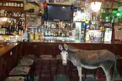Meet Bo-Jangles in the pub