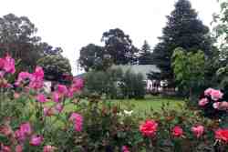 view of garden and hotel from self-catering cottages 