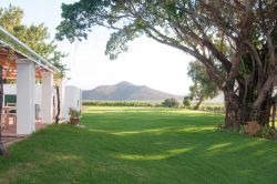 Panoramic views of vineyards and Laneberg mountains.