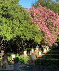 Property garden