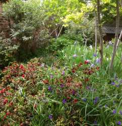 Property garden