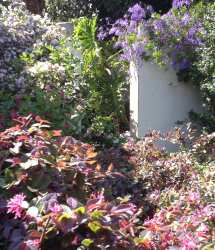 Property garden