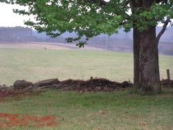 Glorious tranquil views from Gum Tree Glen.