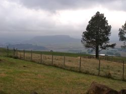 Gum Tree Glen overlooks the Karkloof Valley.