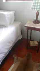 Quirky touches abound in Wrinkly Tin Cottage