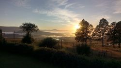 Glorious views from Wrinkly Tin Cottage at Gum Tree Glen!