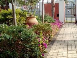 pathway to front gate