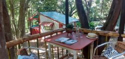 Bamboo Suite Deck