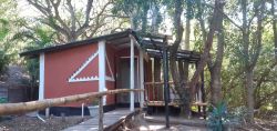 Bamboo Suite