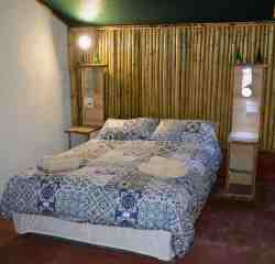 Family Suite (Zebra)
