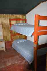 Family Suite (Zebra)
