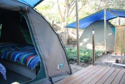 Dome Tent