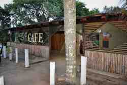 Jungle Cafe