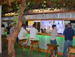 Jungle Cafe
