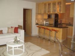 Hibernian Towers 313