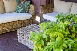 Garden Lapa