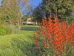 Fish Eagle Lodge exterior view