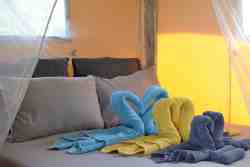 Bedding in the tent
