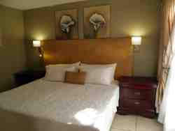 Luxury suite Room 2