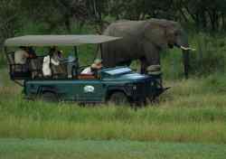 Honeyguide Game drive vehicle