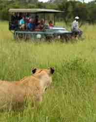 Khoka Moya Game drive vehicle 
