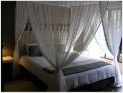 Unit 4 - Master Bedroom