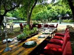 Gardens