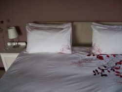 Honeymoon suite