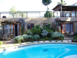 View in garden
