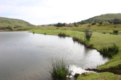 View over some of the dams in front of the house