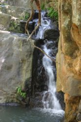 Waterfall on the mountain trail across from the house