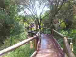 Walkway To Sundowner Deck