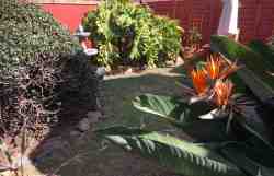 Garden Area