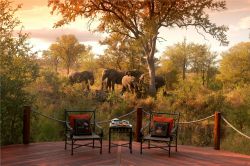 Hoyo Hoyo Safari Lodge - Main deck View 