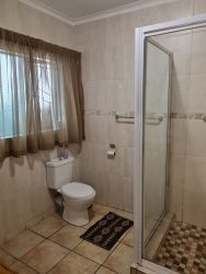 Lion Bathroom