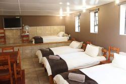 bedroom with 10 single beds