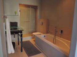 Bathroom view