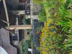 Part of the patio and room 1 through the garden