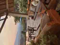 Patio in Sunset Pink