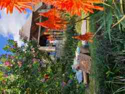 Picnic Amongst the Aloes
