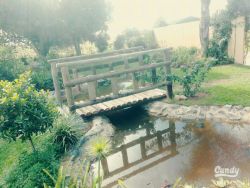 Fish Pond in garden