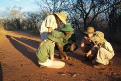 Children Activities