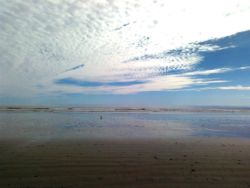 Beach area, approximately 200m from the beach.